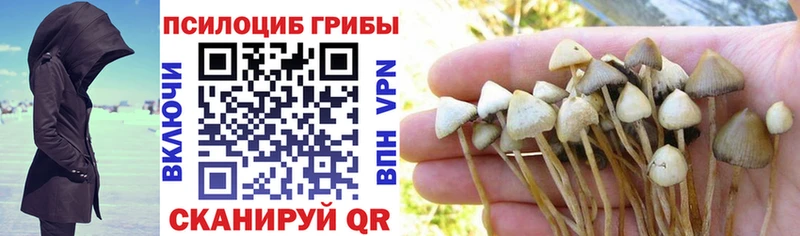 Галлюциногенные грибы мицелий Пущино